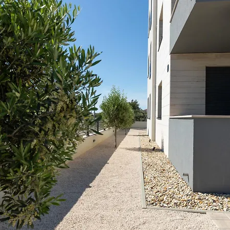 Seaside - Sunrise * Kožino