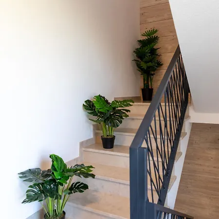 Seaside - Sunrise Kožino