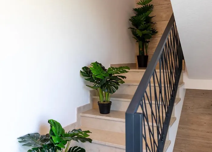 Seaside - Sunrise Kožino